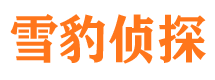 宝塔市私家侦探